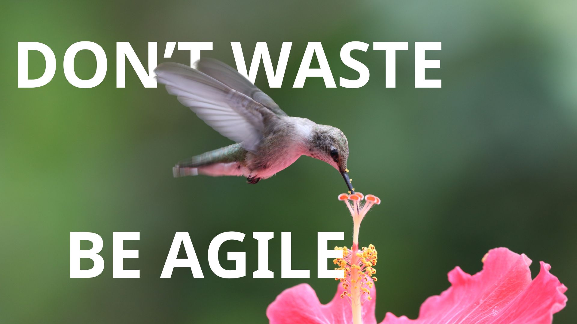 7 Lean Wastes Silently Slowing Agile Teams